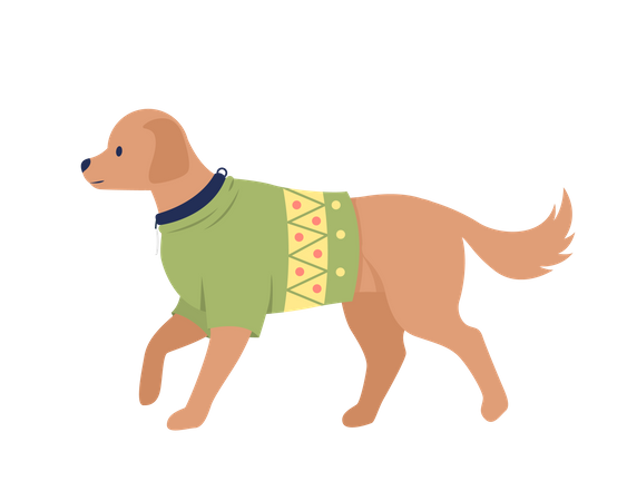 Cute big dog with christmas sweater outfit  Illustration