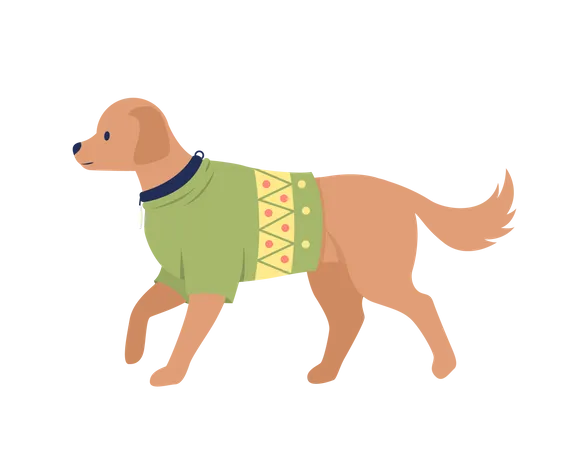 Cute big dog with christmas sweater outfit  Illustration