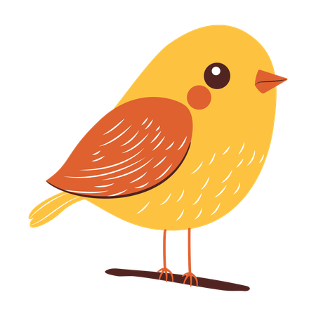 Cute Bird on Tree Branch  Illustration