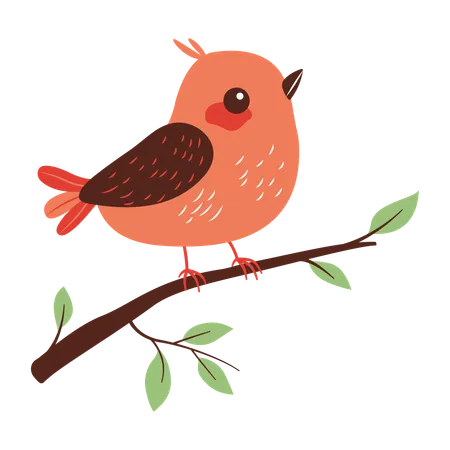 Cute bird on Tree Branch  Illustration