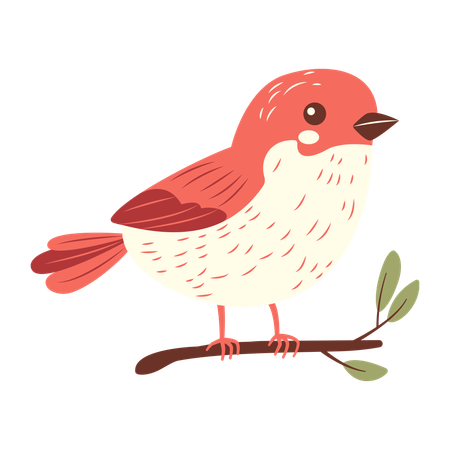 Cute Bird on Tree Branch  Illustration