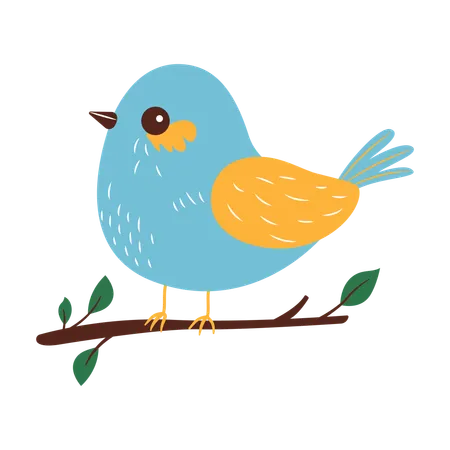 Cute Bird on Tree Branch  Illustration