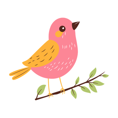 Cute Bird on Tree Branch  Illustration