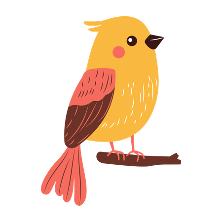 Cute Bird Perched on Tree Branch  Illustration