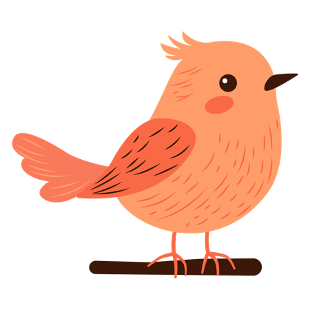 Cute Bird Perched on Tree Branch  Illustration