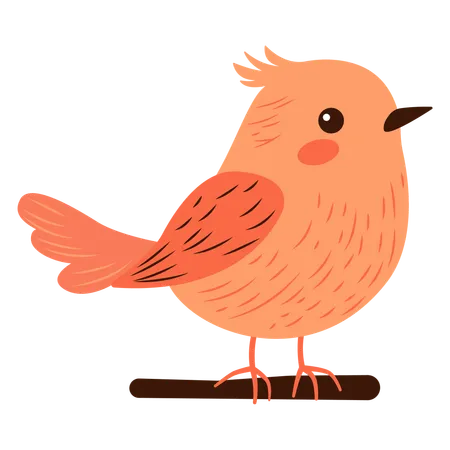 Cute Bird Perched on Tree Branch  Illustration