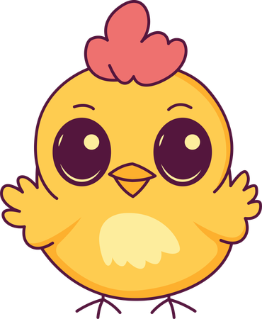 Cute Chick Hen  Illustration