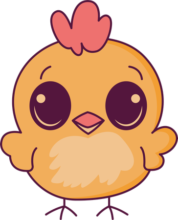 Cute Chick Hen  Illustration