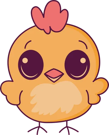 Cute Chick Hen  Illustration