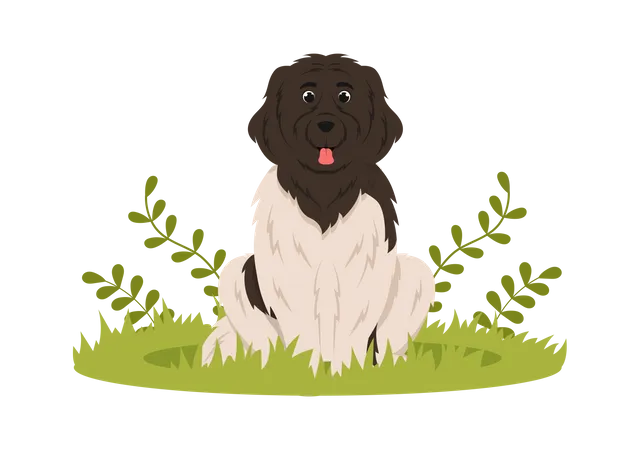 Newfoundland Dog Animals With Black Brown Or Landseer Color In Flat Style Cute Cartoon Template Hand Drawn Illustration Illustration