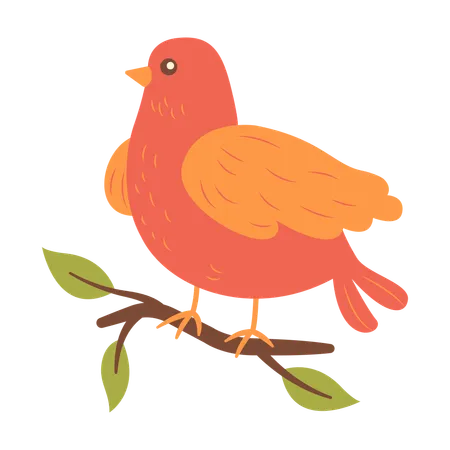 Cute Dove on Tree Branch  Illustration