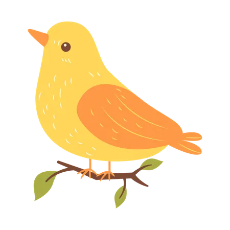 Cute Dove on Tree Branch  Illustration