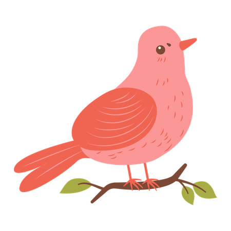 Cute Dove on Tree Branch  Illustration