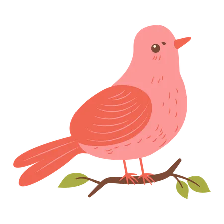 Cute Dove on Tree Branch  Illustration