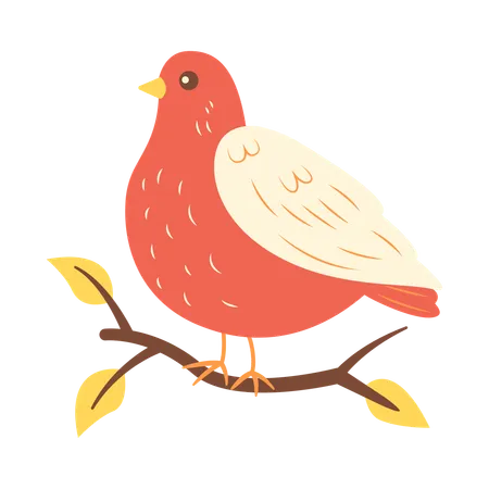 Cute Dove on Tree Branch  Illustration