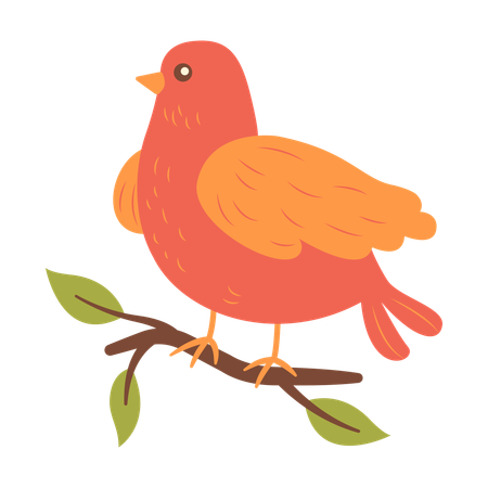 Cute Dove on Tree Branch  Illustration