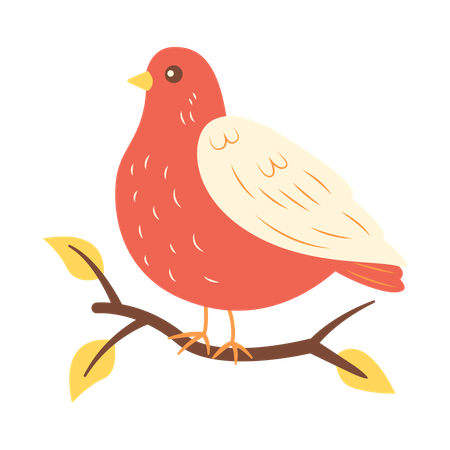Cute Dove on Tree Branch  Illustration