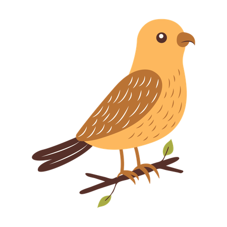 Cute Eagle on Tree Branch  Illustration