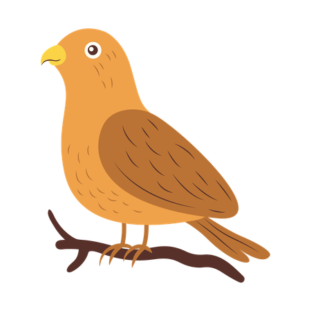 Cute Eagle on Tree Branch  Illustration