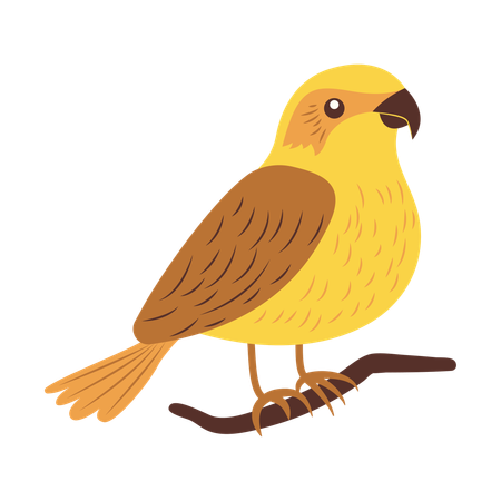Cute Eagle on Tree Branch  Illustration