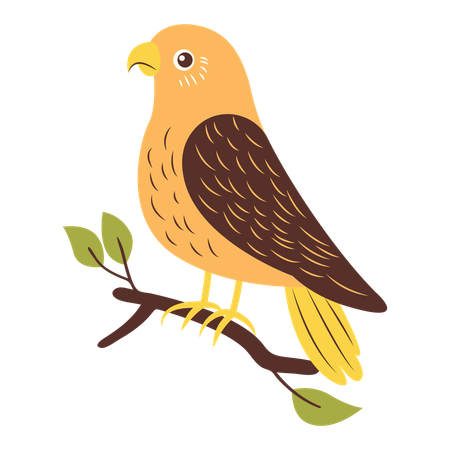 Cute Eagle on Tree Branch  Illustration