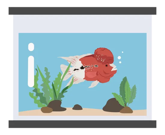 Cute Fish  Illustration