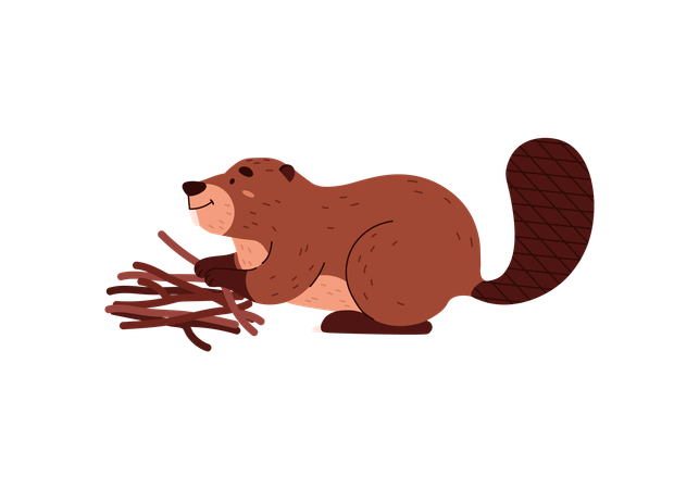 Cute funny beaver folding branches  Illustration