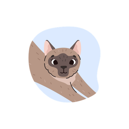 Cute funny Siamese cat  Illustration