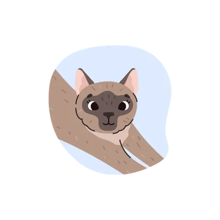 Cute funny Siamese cat  Illustration