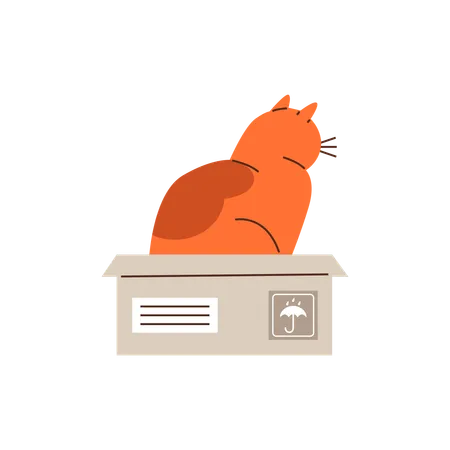 Cute ginger cat playing and sitting in cardboard box  Illustration