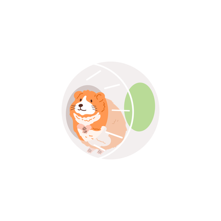 Cute ginger hamster belly in ball wheel  Illustration