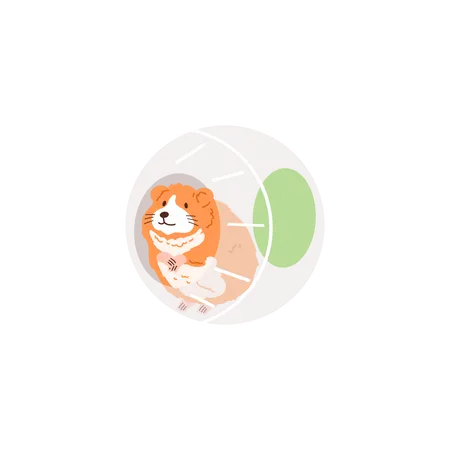Cute ginger hamster belly in ball wheel  Illustration