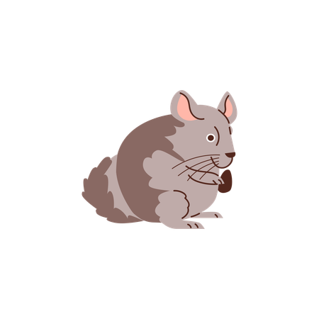 Cute grey fat hamster  Illustration