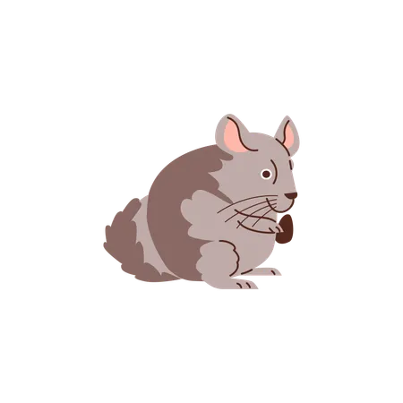 Cute grey fat hamster  Illustration