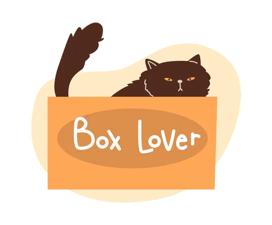 Cute grumpy black cat playing and sitting in cardboard box  Illustration