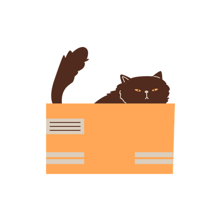 Cute grumpy black cat playing and sitting in cardboard box  Illustration