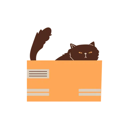 Cute grumpy black cat playing and sitting in cardboard box  Illustration