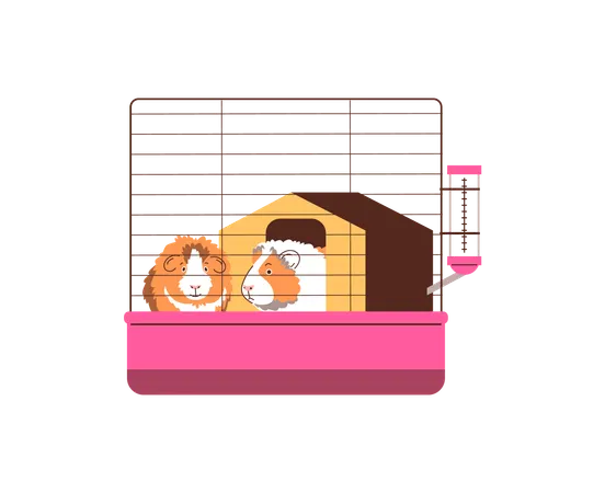 Cute guinea pig  Illustration