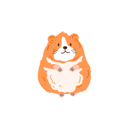 Cute hamster fluffy brown furd  Illustration