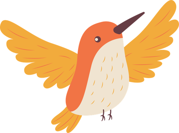 Cute Hummingbird Flying  Illustration