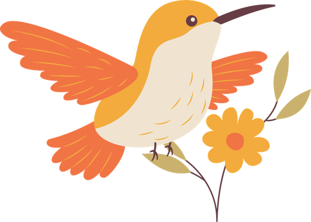 Cute Hummingbird Flying with Flower Floral  Illustration