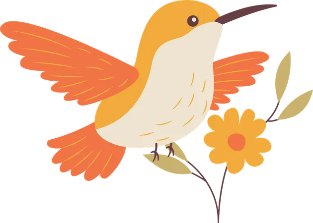 Cute Hummingbird Flying with Flower Floral  Illustration