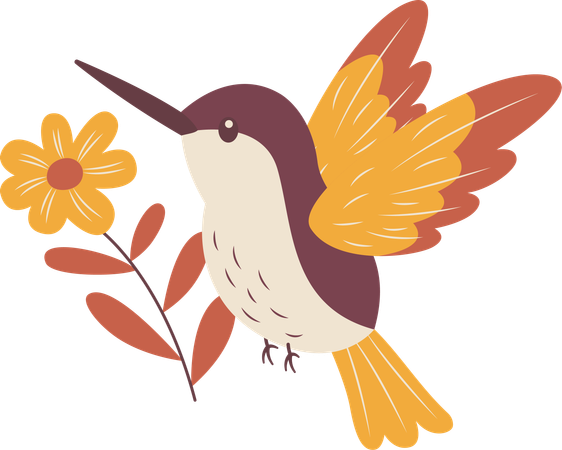 Cute Hummingbird Flying with Flower Floral  Illustration