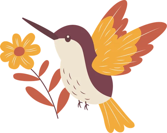 Cute Hummingbird Flying with Flower Floral  Illustration