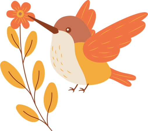 Cute Hummingbird Flying with Flower Floral in Park  Illustration