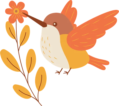 Cute Hummingbird Flying with Flower Floral in Park  Illustration