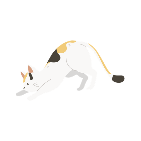 Cute Kitten Crouching or Stretching  Illustration