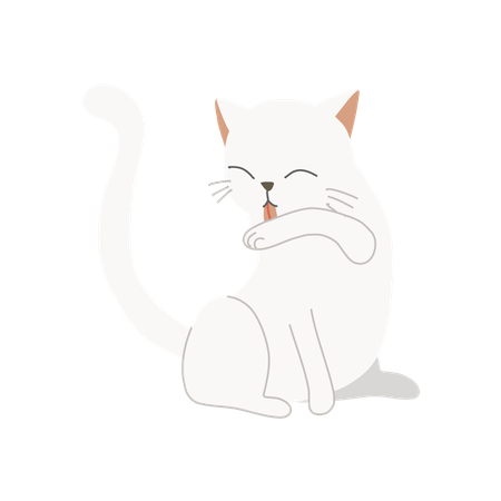 Cute kitten licking its arm for hygiene  Illustration