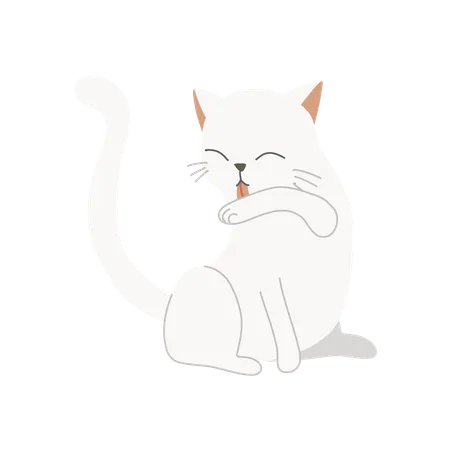 Cute kitten licking its arm for hygiene  Illustration