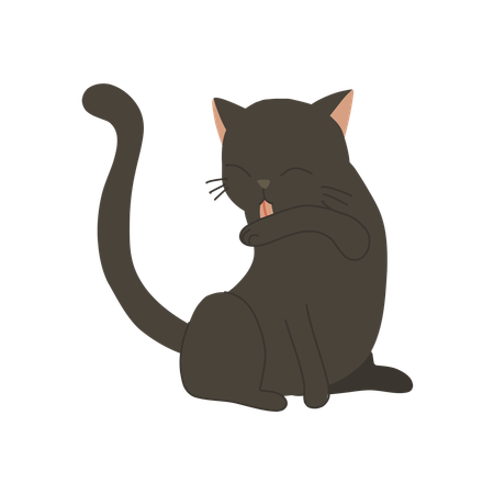 Cute kitten licking its arm for self-grooming and cleanliness  Illustration